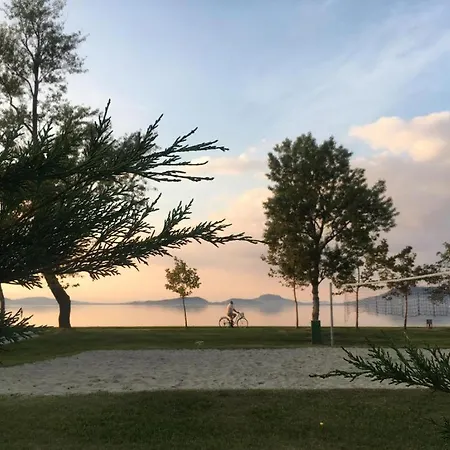 Fenyves Homestay szállás