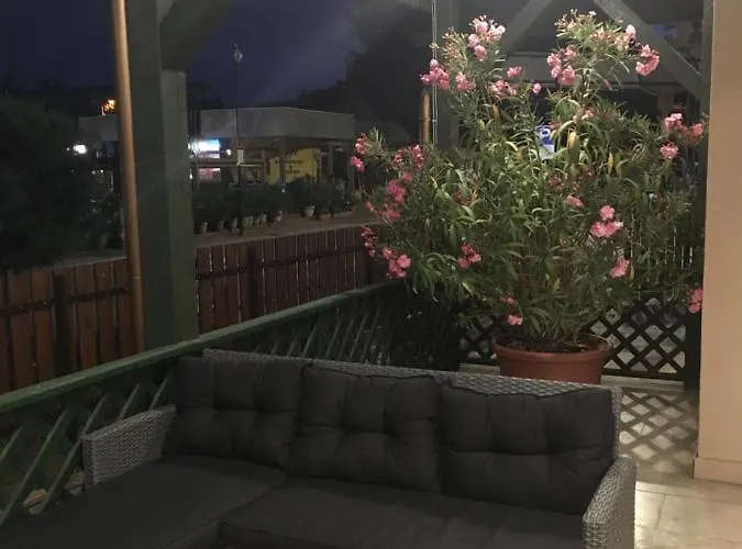 Fenyves Homestay szállás