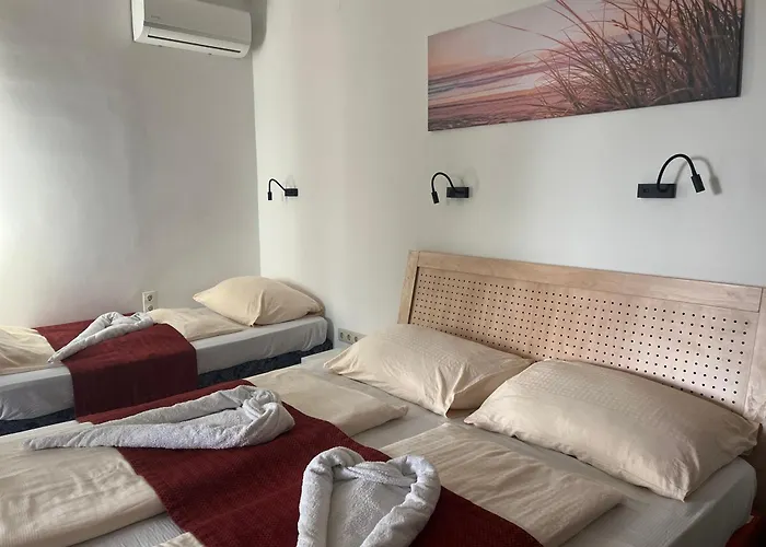 Fenyves Homestay szállás *